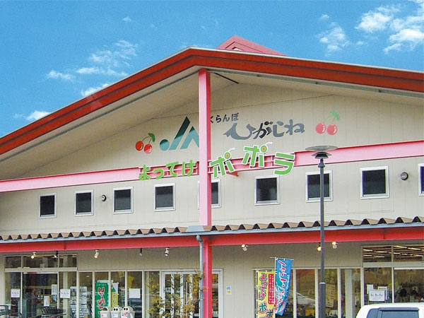 よってけポポラ